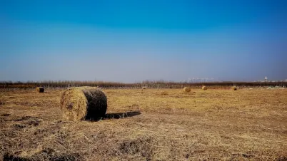 קקדו קזינו אפליקציה לנייד